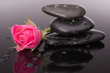 Spa stone and rose flowers still life. Healthcare concept.