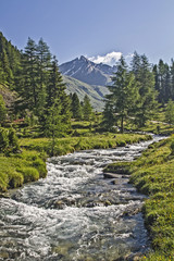 Fototapeta premium Bergidylle im Reintal