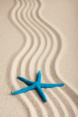 Fototapeta na wymiar Starfish lying on the sand