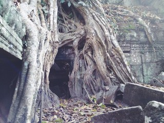 Temple in Cambodia