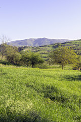 Oltrepo Pavese panorama color image