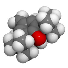 Butylated hydroxytoluene (BHT) food antioxidant molecule.