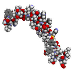 Glucose-dependent insulinotropic peptide (gastric inhibitory pp)