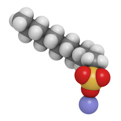 Sodium dodecyl sulfate (SDS) detergent molecule. 