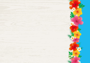 ハイビスカス © hanabunta