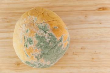 Moldy bread on wood background