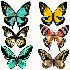 Obraz na płótnie Canvas Collection of colorful vector butterflies for design