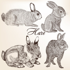Naklejka premium Vector set of hand drawn rabbits
