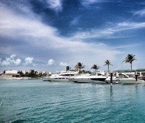 speed boats parked in marina