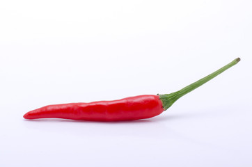 Red chili pepper