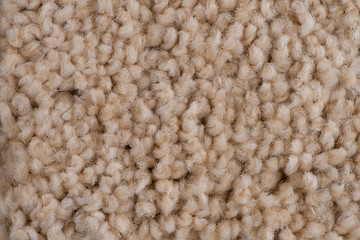 Brown carpet