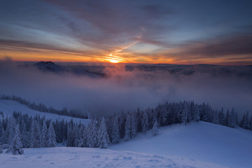 Winter colorful sunrise over the clouds with firs full of snow