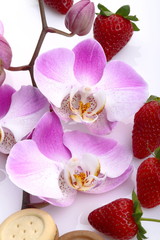 Orchidea,fragole e biscotti