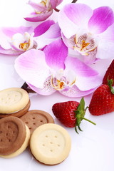 Fototapeta na wymiar Orchidea,biscotti e fragole