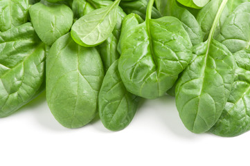 Fresh leaves of spinach