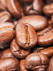 Kaffeebohnen