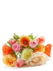 bouquet of roses isolated on white background