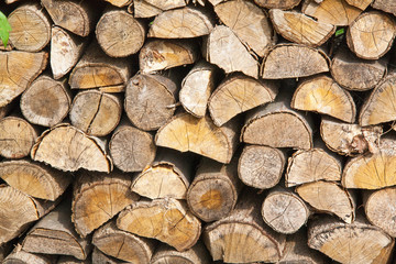 Fototapeta premium Tas de bois empilé