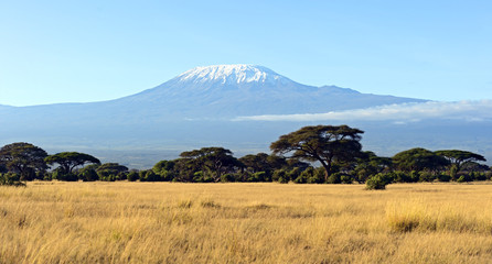 Obraz premium Park Narodowy Amboseli