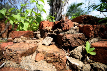 close up of destroyed brick walls