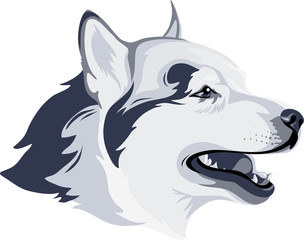 dog's head