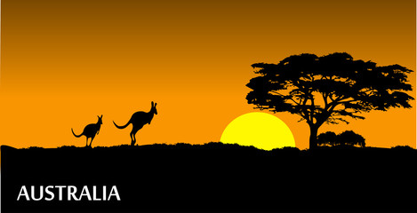 Fototapeta na wymiar Australian savanna