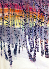 birch in winter - 63999197
