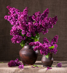 Blooming branches of lilac in vase