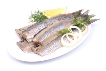 Fresh young herring