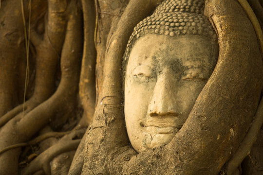 Close-up: the Head of Buddha in Wat Mahathat, Thailand.