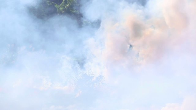 Пожар в тропиках