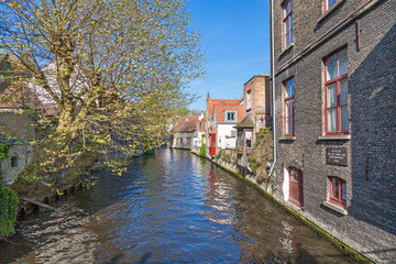 Fototapeta na wymiar Kanał w Bruges