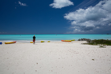 Fototapeta na wymiar beach with blue water on the island of Antigua