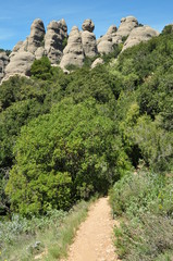 Camino a Montserrat