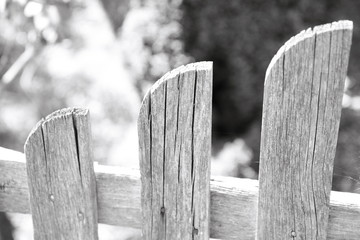 Wooden picket fence in close up