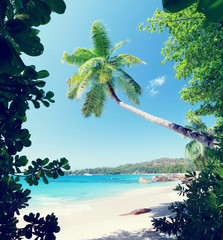 Fototapeta na wymiar Anse Lazio beach on Praslin island in Seychelles