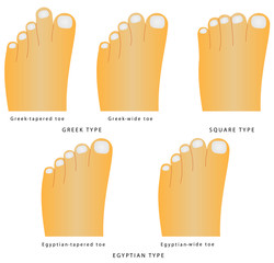 The most common variants of the foot and toes