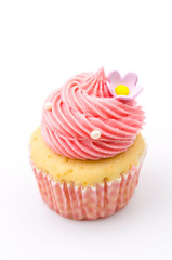 Vanilla cupcakes isolated white background