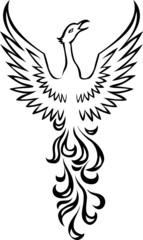 Phoenix berd tattoo