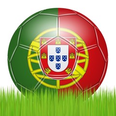 Obraz premium Bola de futebol portuguesa na grama
