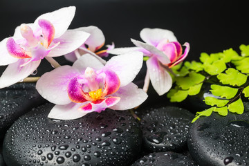 Obraz na płótnie Canvas Spa concept with beautiful orchid flower, green branch and zen s