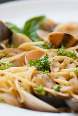 Close up Spaghetti Vongole with Chilli