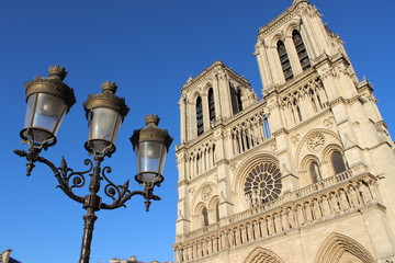Fototapeta na wymiar La Cathédrale Notre Dame à Paris