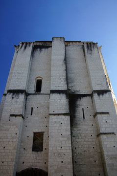 Donjon De La Roche Posay