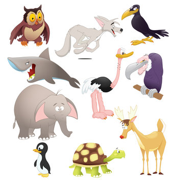 Atotal of animals and birds