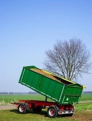 Naklejka premium Saatkartoffeln auf Anhänger für die Aussaat