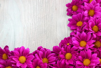 cornice floreale © schiros