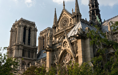 Obraz premium Notre Dam de Paris