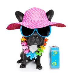 Stickers pour porte Chien fou holiday summer dog