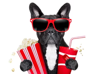 Crédence de cuisine en verre imprimé Chien fou dog to the movies